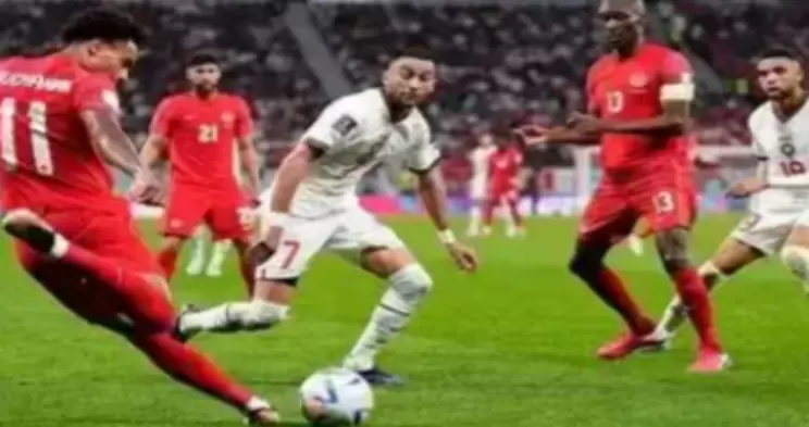 博洛尼亚直播_博洛尼亚体育直播赛事实时观看_博洛尼亚高清免费体育直播赛事-24直播